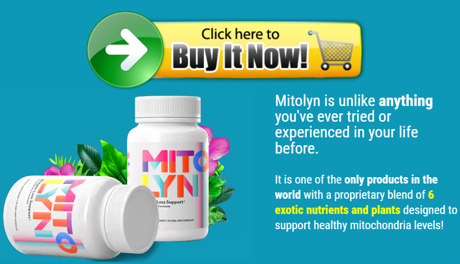 moldinit.com