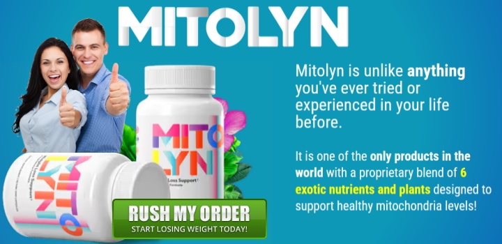 moldinit.com