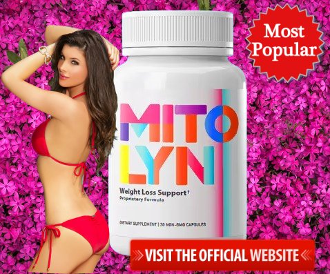 moldinit.com