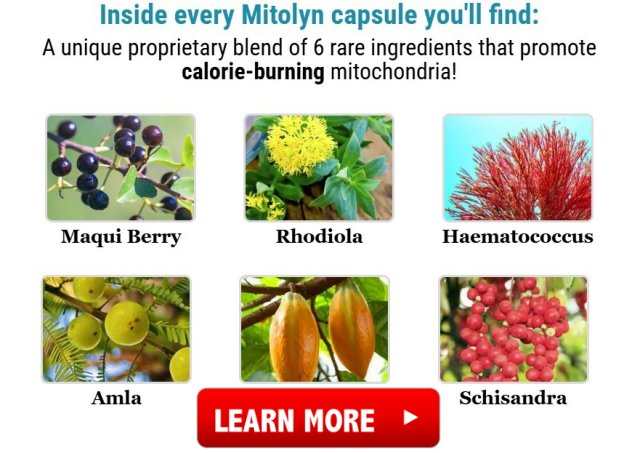 mitolyn weight loss supplement spain reviews